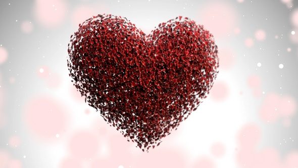 Rose Petals Heart 01 Shot 04 alt