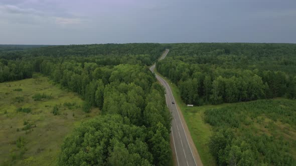 Forest, fields and road aerial view