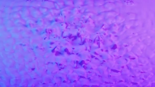 Strong Vibration Lifts Drops Milk with Pink Blue Tint Upward alt