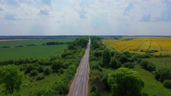 Flying Over The Car Road Among The Trees alt