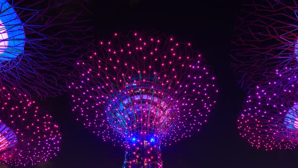 4k Time-lapse of Gardens by the bay with light at Singapore alt