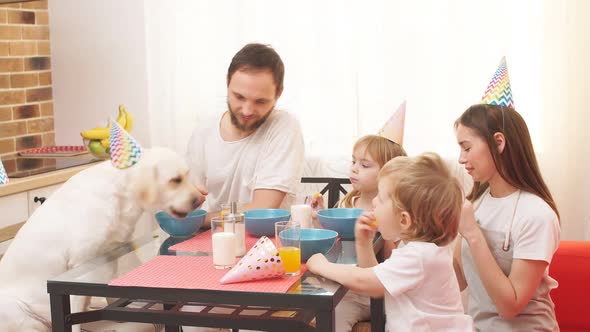 Happy Birthday Funny Dog and Careful Owners in the Kitchen alt