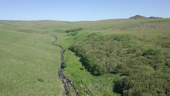 Wide aerial shot tracking upwards with wistmans wood, a river and grassy moorland setting the scene. alt
