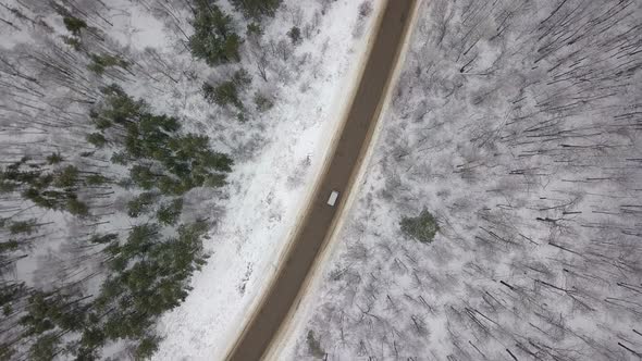Winter Forest Road From Above
