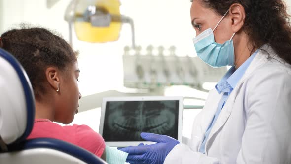 Stomatologist Showing Dental Xray to Girl Patient alt