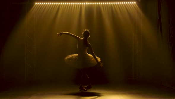 Graceful Ballerina Dancing White Swan Part. Dancing of Elements Classical Ballet. Silhouette of a alt