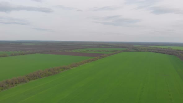Aerial Green Field Landscape alt