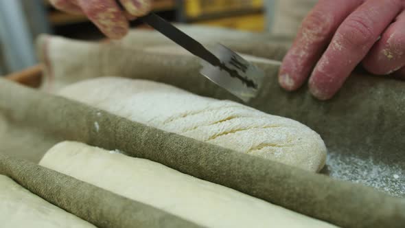Baker Making Fresh Dough in Her Kitchen alt