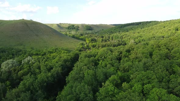 Aerial View of Green Forest and High Hills. Drone Shooting the Scenic View alt