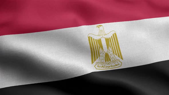 Egypt Flag Seamless Closeup Waving Animation alt