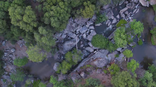 Aerial Top Down Drone Shot Ascending from  a River in the California Wilderness (Oakhurst, CA)