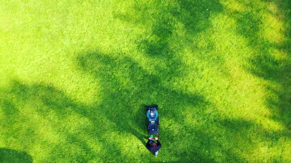 Aerial view man lawn mower on green grass, Man cuts the lawn