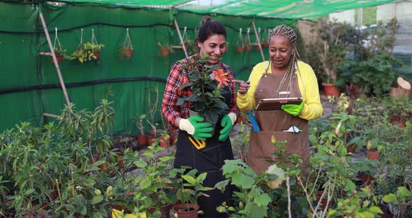 Women working inside greenhouse garden - Nursery and spring concept alt