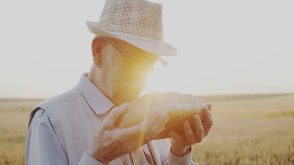 Portrait of Senior Man Kisses a Loaf of Bread and Rejoices at Sun Beams in Field alt
