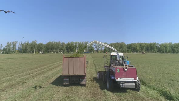 Drone view of Combine harvesting and truck on wheat field. 14 alt