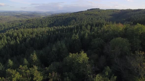 Aerial View Over Forest Valley. Auvergne, France.