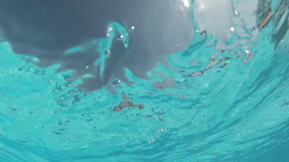 Young Woman Dressed in a Black Swimsuit Swims in the Outdoor Swimming Pool alt