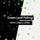 ST Patricks Day Green Flower Leaf or Leaves Falling with Alpha - VideoHive Item for Sale