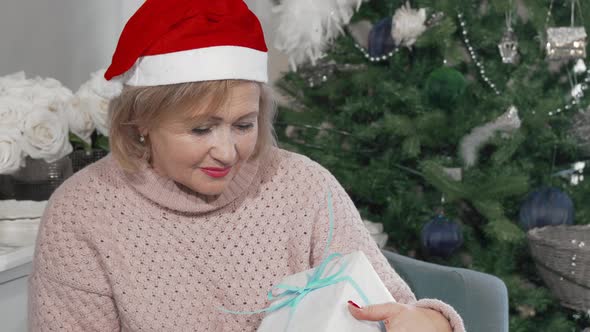 Happy Elderly Woman in Santa Claus Hat Holding Out a Gift to the Camera alt