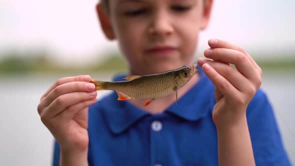 Young Fisherman Catch a Fish Rudd at the Lake on a Summer Day