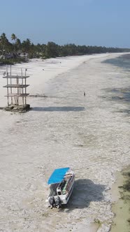 Vertical Video of Low Tide in the Ocean Near the Coast of Zanzibar Tanzania alt
