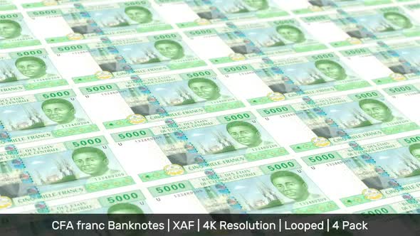 Central African States Banknotes Money / CFA franc / Currency FCFA / XAF / 4 Pack - 4K alt