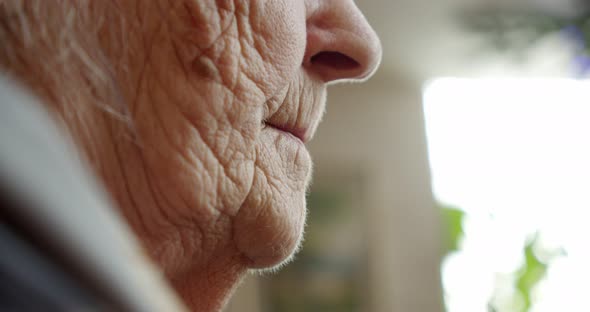 Closeup of Wrinkled Face Grandmother's Mouth Doing Chores Natural Light Beautiful Old Age alt