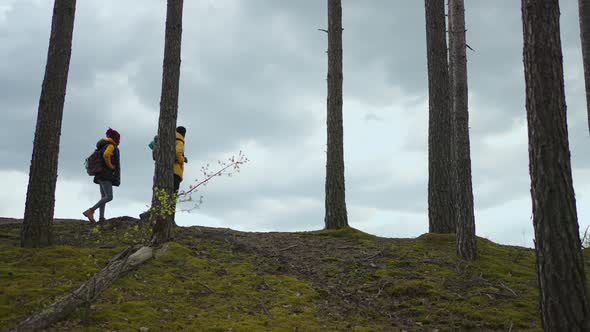 Two Africanamerican Travel Hikers with Backpack Walking While Looking the Landscape in the Forest alt