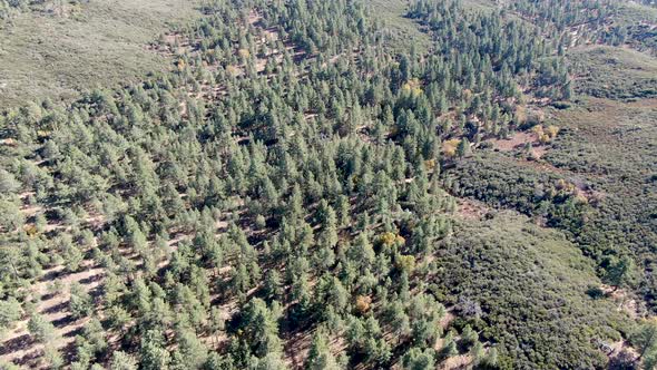 Pine Valley During Dry Fall Season, California alt