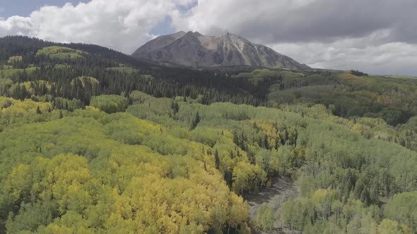 Fall foliage by Crested Butte, CO alt