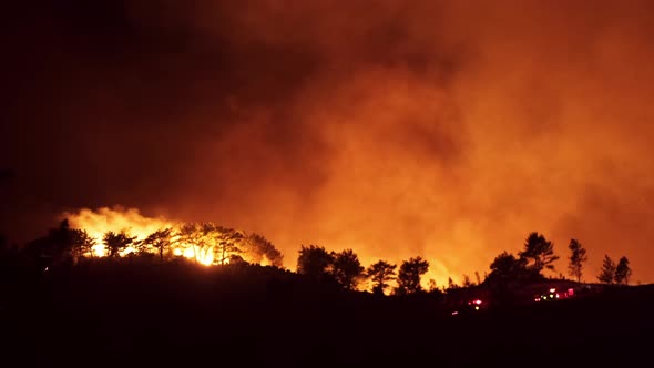 Natural Disaster, Forest Fire alt