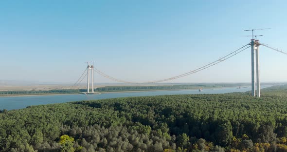 Dense Trees In Forest With Braila Bridge Under Construction alt