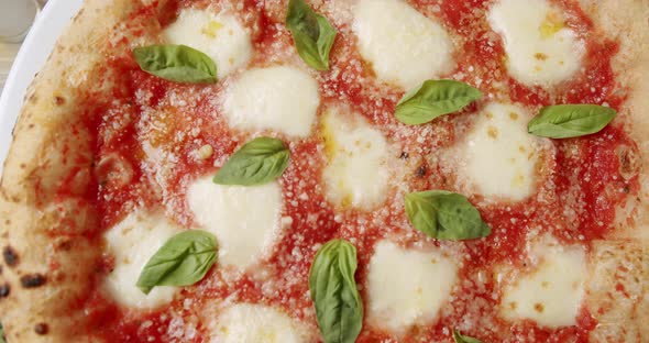 Italian Cuisine Neapolitan Margherita Pizza with Ingredients Pizza Margherita alt