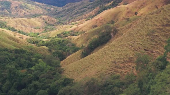 Rainforest scenery at Monteverde Cloud Forest, Costa Rica. Aerial drone view alt