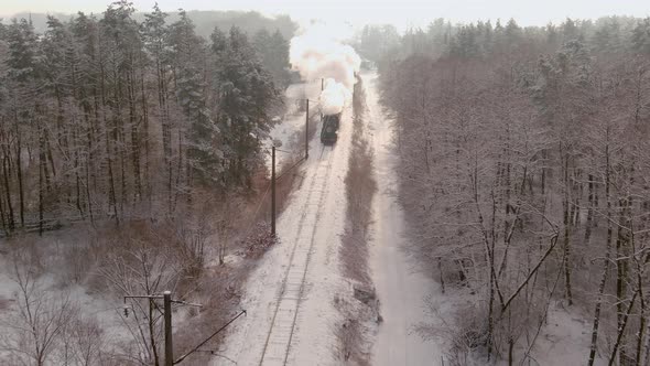 Along Beautiful Forest Country Road alt