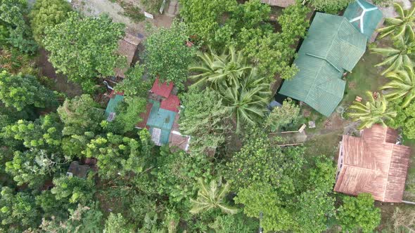 Top down view of urban houses surrounded by tall coconut tree from puerto galera alt