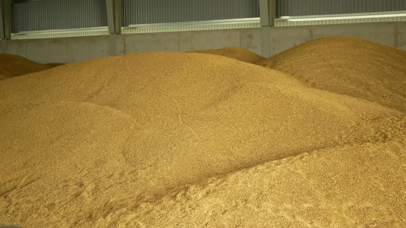 Stock or Warehouse Pile Wheat Store, Barley and Other Cereals and Grain Heap and Mound, Very Modern
