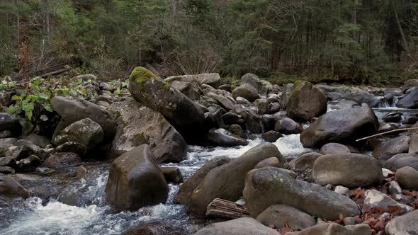 Small Mountain Stream in the Mountains of Ukraine alt