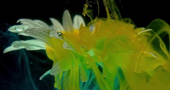Yellow Ink Is Drifting Off of a Flower Underwater, Colorful Art,  alt