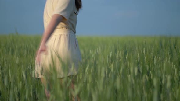 A Girl Stands in a Wheat Field and Spins Touching the Ears with Her Hands