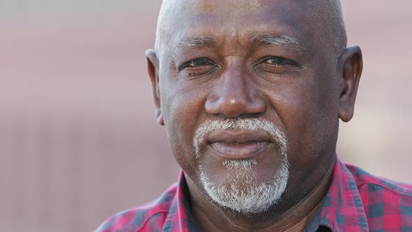 Headshot Portrait of Citizen Serious Pensive Black Male with Wrinkles Looking at Camera Closeup alt