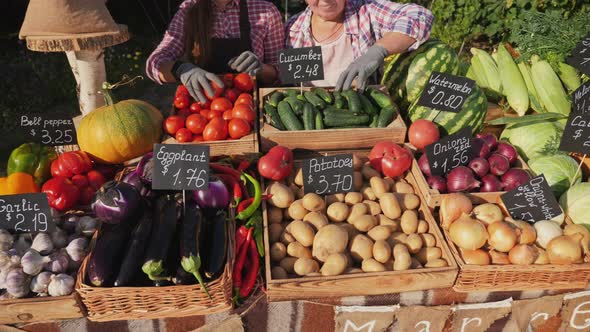Senior Woman with Her Granddaughter are Trading Together at the Farmers Market alt