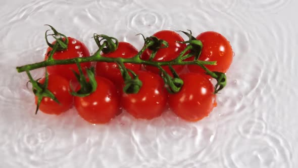 Banch of Cherry Tomatoes Falls Into the Water