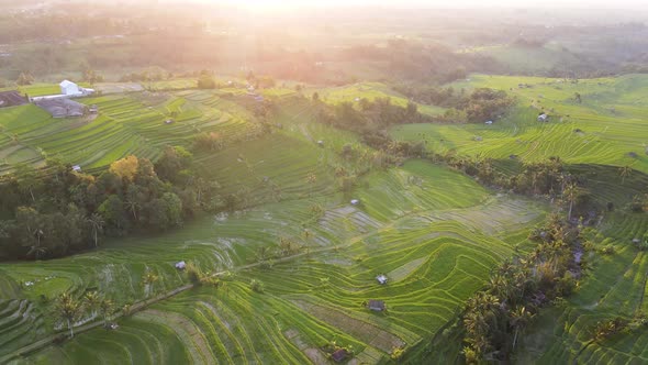 Jatiluwih Tabanan Bali Aerial View