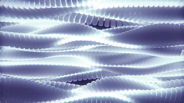Shining White Wave Lines Animation Background