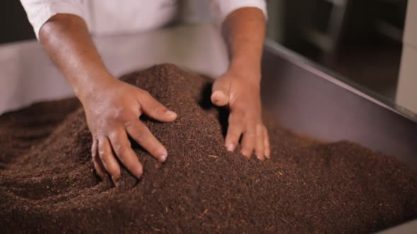 South Asian Hands Filter Dried Tea Leaves alt