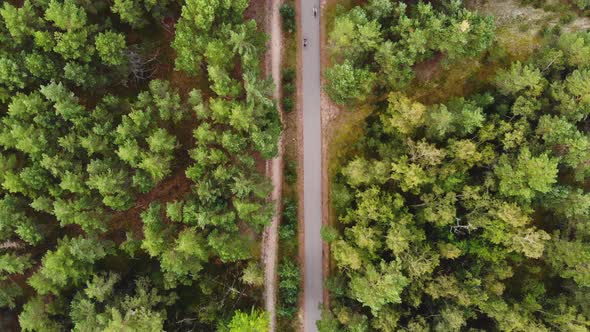 AERIAL: Two Friends Cyclists Drives on an Asphalt Road in the Middle of the Forest alt
