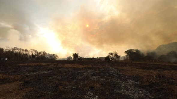 Acrid smoke fills the sky over the smoldering landscape of the drought-stricken Brazilian Pantanal alt