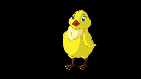 Little yellow chicken stands and pecks (alpha matte)  alt