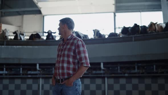 Livestock Expert Inspecting Milking Carousel Standing in Dairy Production alt